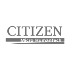 Citizen grey